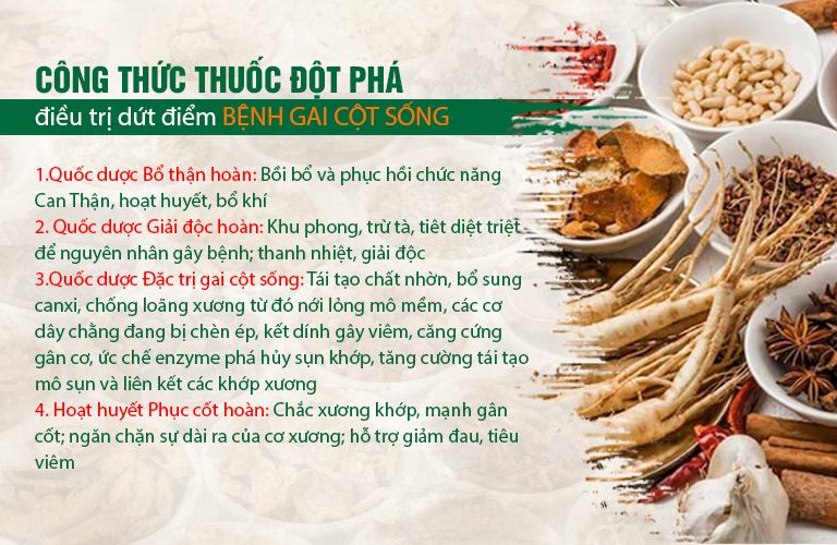 Bài thuốc có công thức hoàn chỉnh trong điều trị gai cột sống