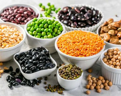 Các loại đậu chứa nhiều chất dinh dưỡng và có thể hỗ trợ cải thiện các triệu chứng bệnh gout