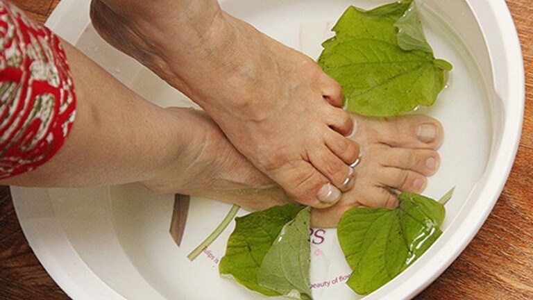 Ngâm chân lá lốt có tác dụng giảm đau do thần kinh tọa 